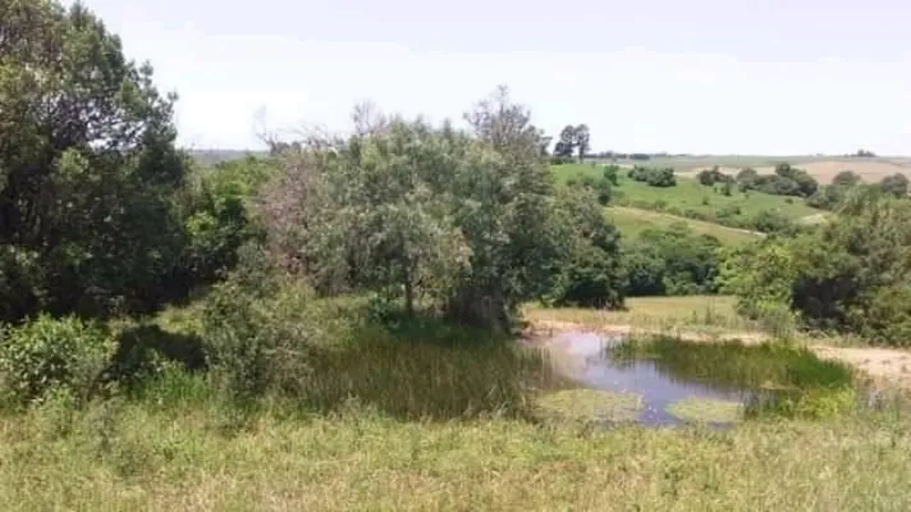 Chácara, 3 quartos, 10 hectares - Foto 3