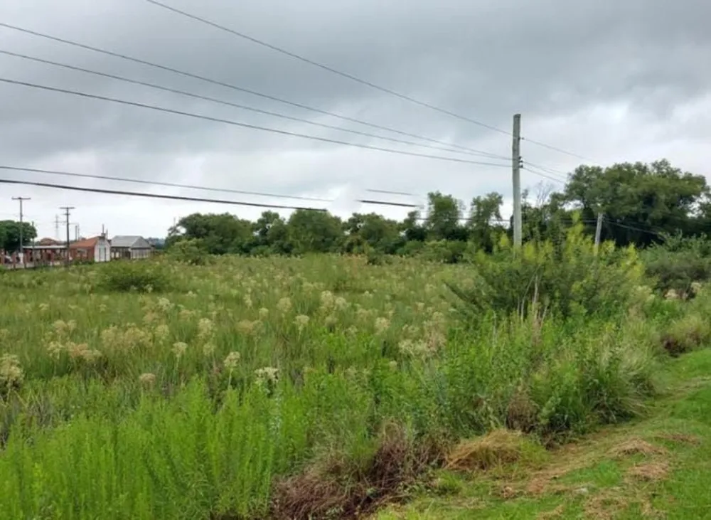Terreno, 1 hectares - Foto 2