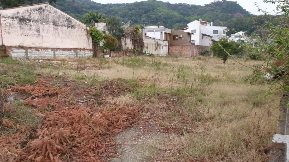 Terreno, 1245 m² - Foto 3