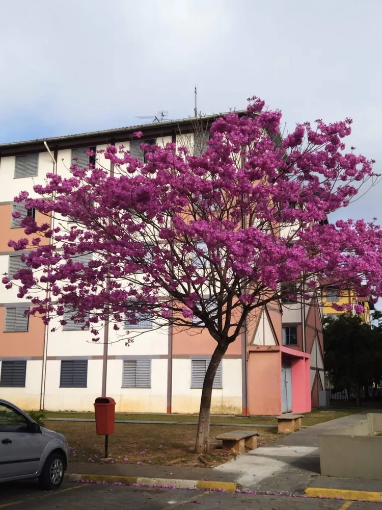 Apartamento, 2 quartos, 46 m² - Foto 1