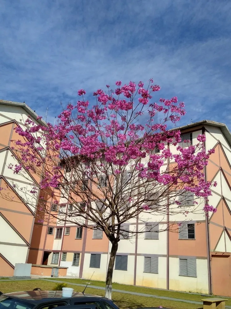 Apartamento, 2 quartos, 46 m² - Foto 1