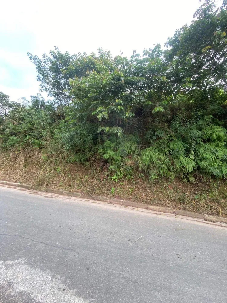 Terreno, 250 m² - Foto 1