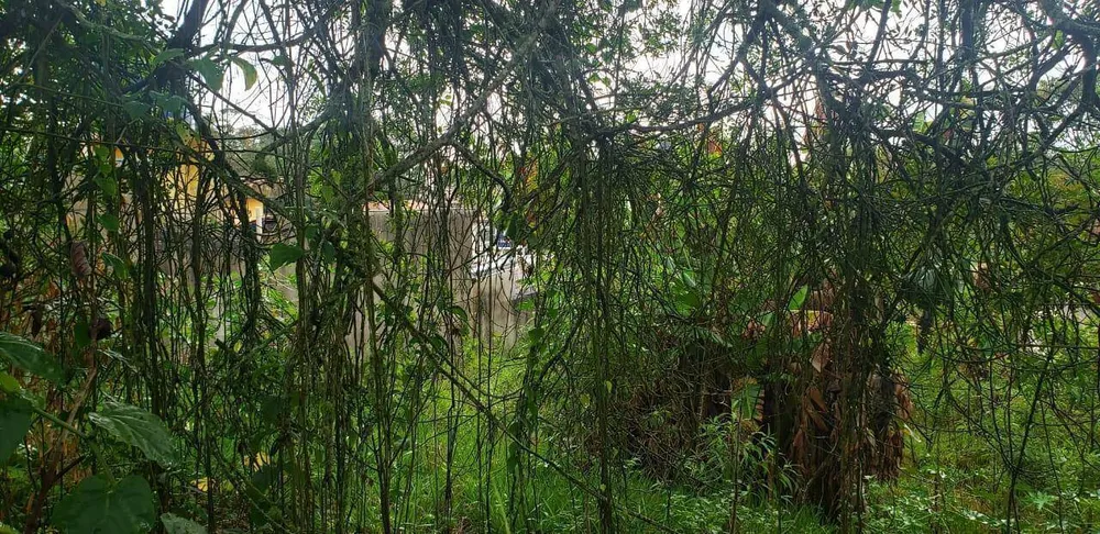 Loteamento e Condomínio, 483 m² - Foto 10
