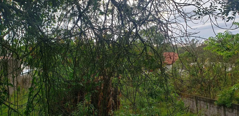 Loteamento e Condomínio, 483 m² - Foto 6