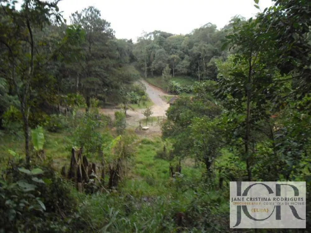 Terreno à venda, 8000m² - Foto 3