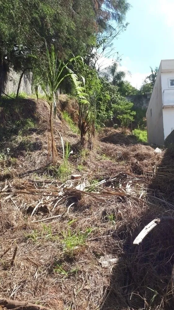 Terreno, 620 m² - Foto 6