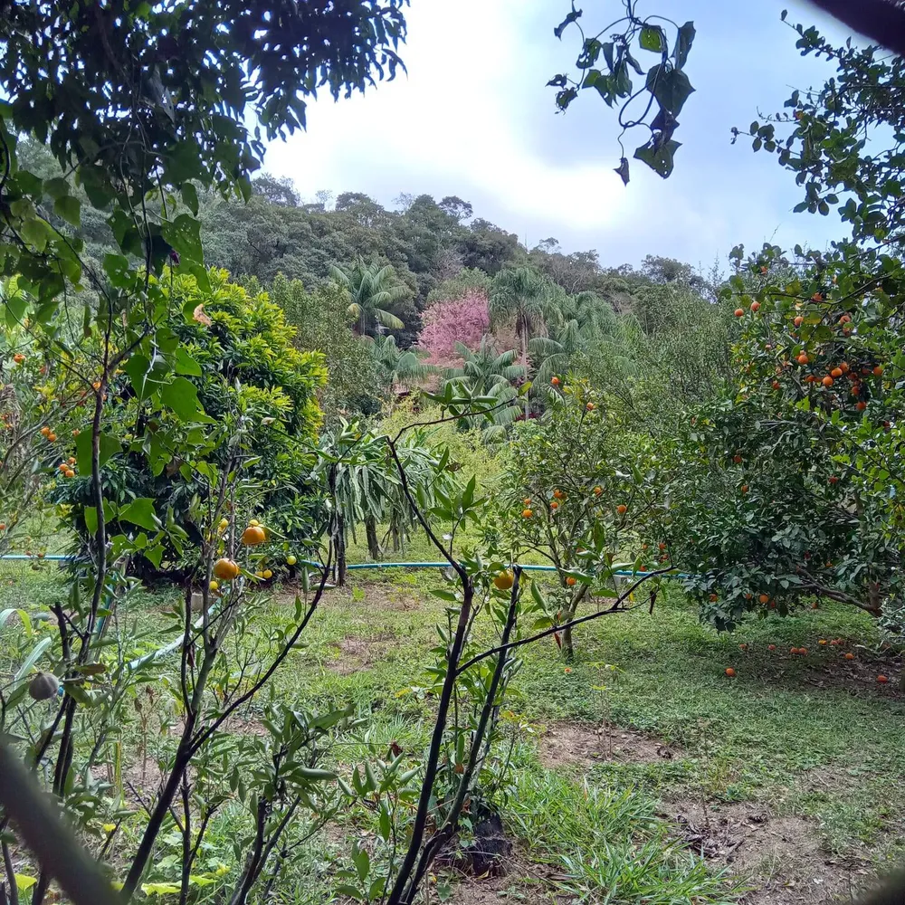 Terreno, 1125 m² - Foto 8