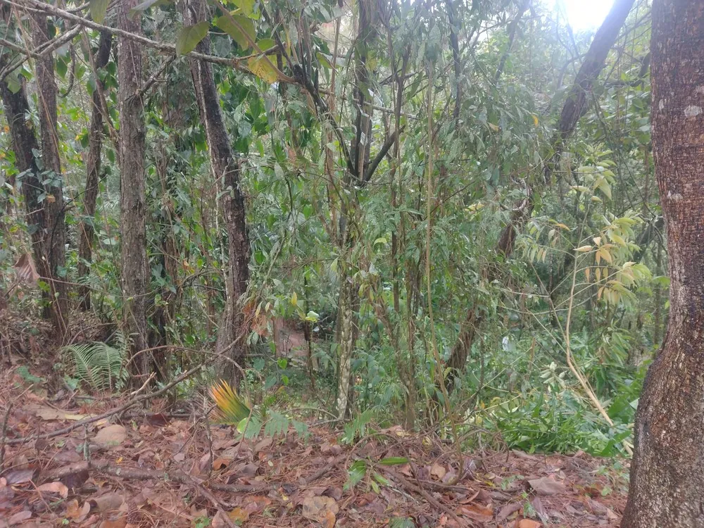 Terreno, 600 m² - Foto 20