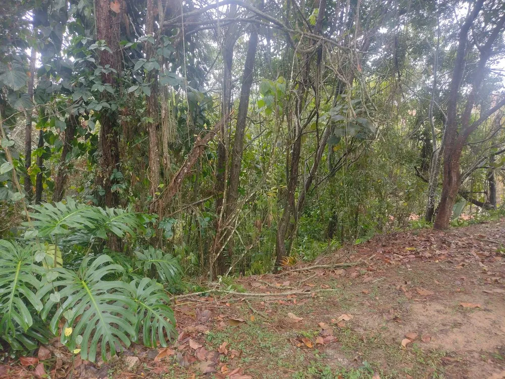 Terreno, 600 m² - Foto 17