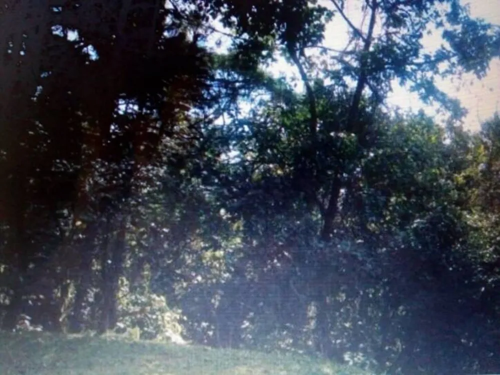 Terreno, 600 m² - Foto 12