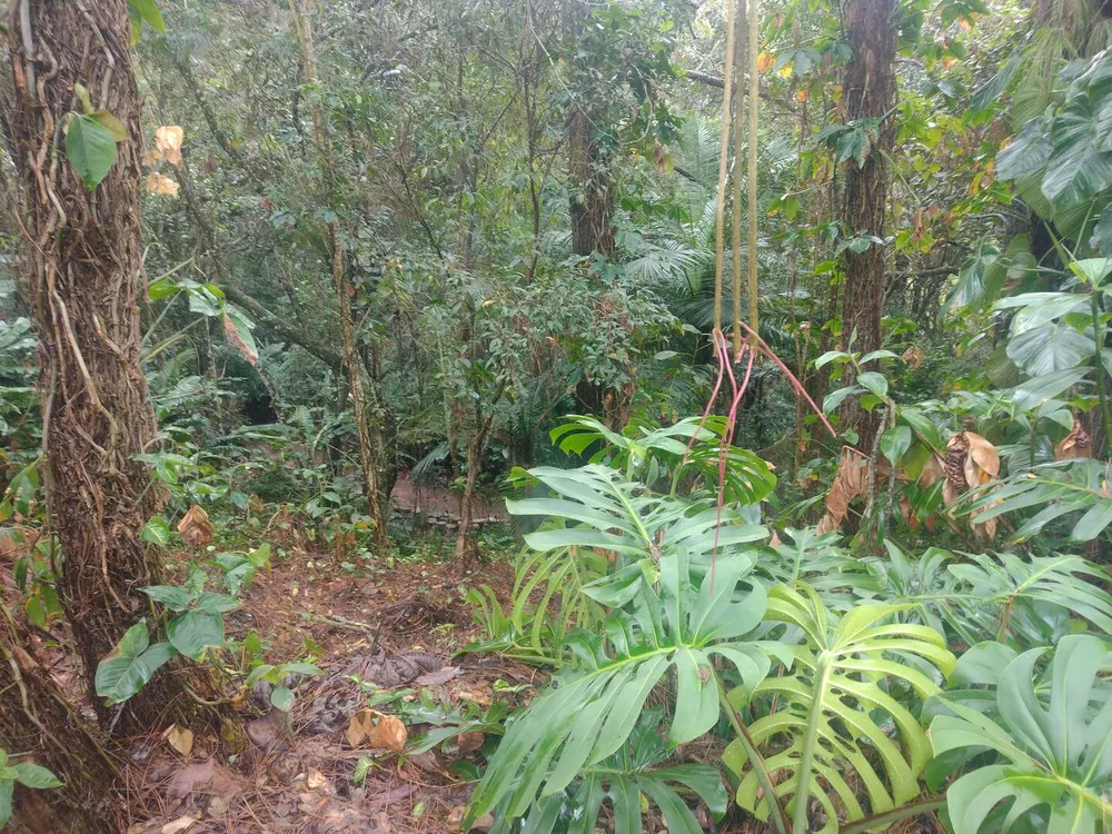 Terreno, 600 m² - Foto 16
