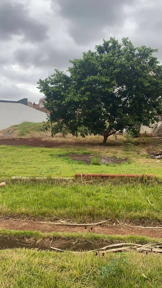 Terreno, 337 m² - Foto 3
