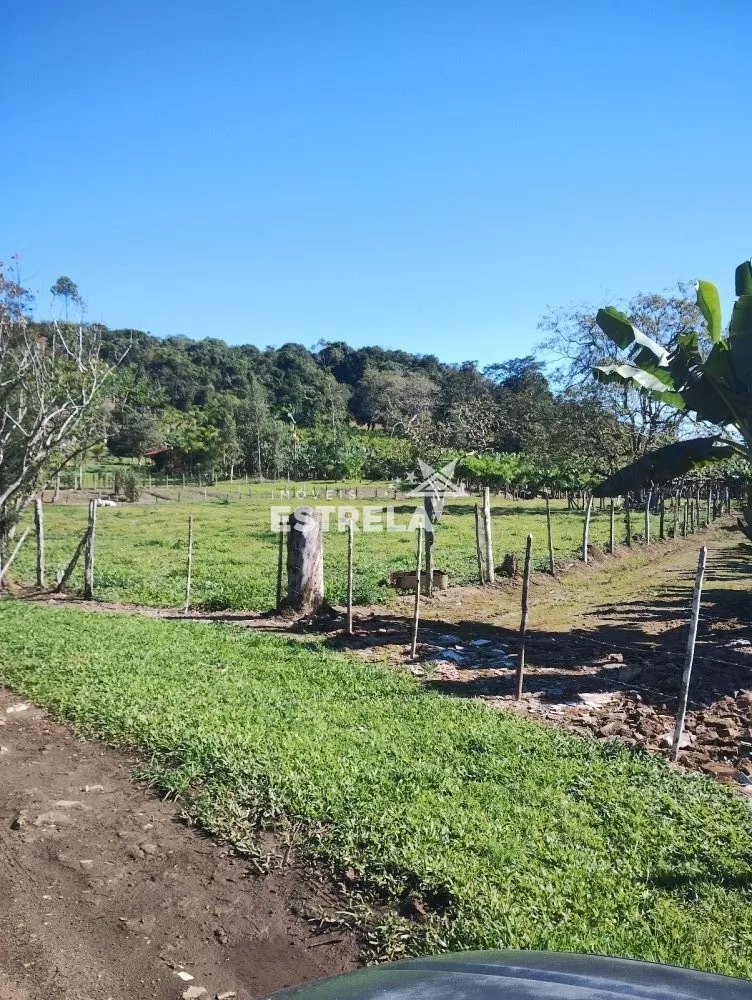 Fazenda à venda com 4 quartos, 300m² - Foto 4