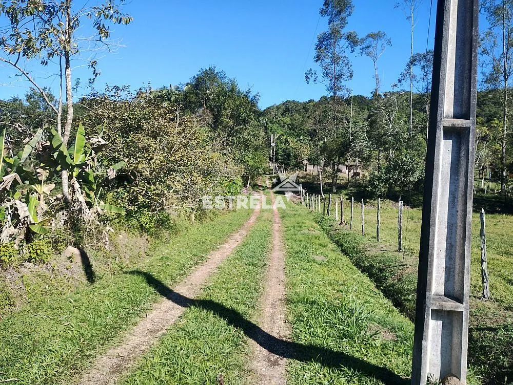 Sítio, 4 quartos, 7 hectares - Foto 4
