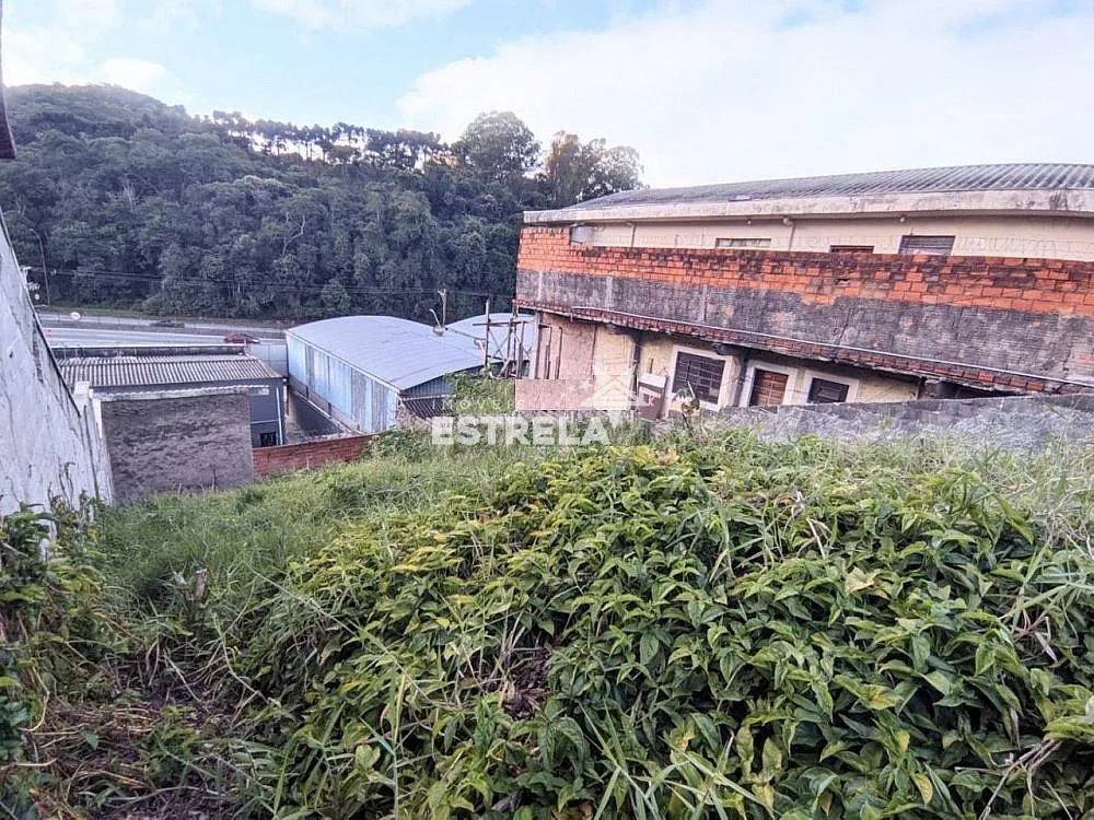 Terreno, 250 m² - Foto 3