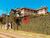 Sobrado, 6 quartos, 500 m² - Foto 1
