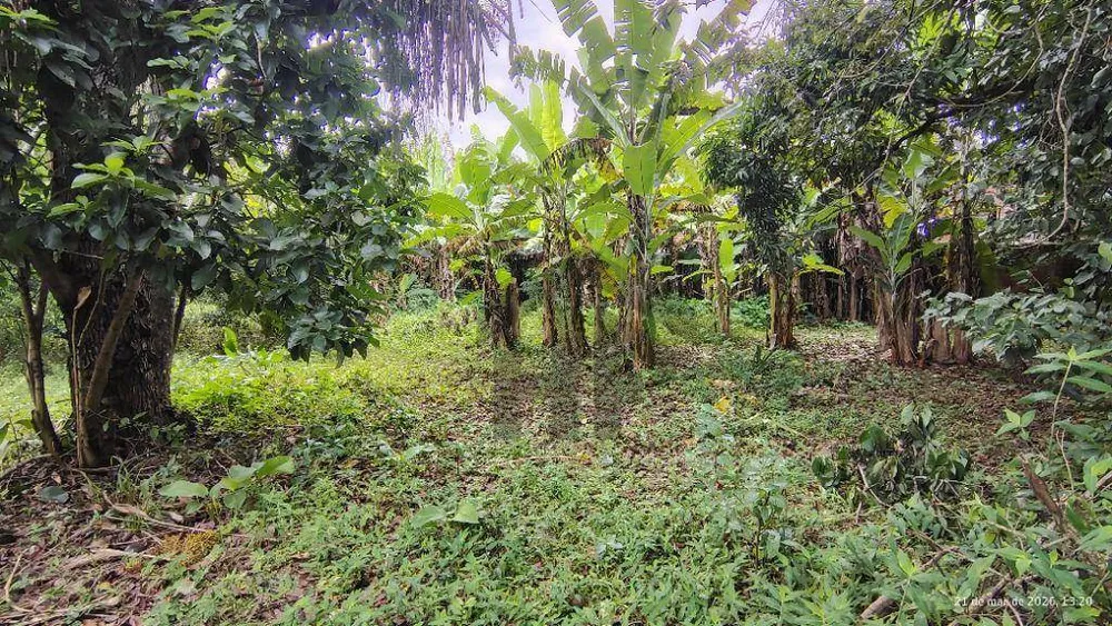 Terreno, 5282 m² - Foto 14
