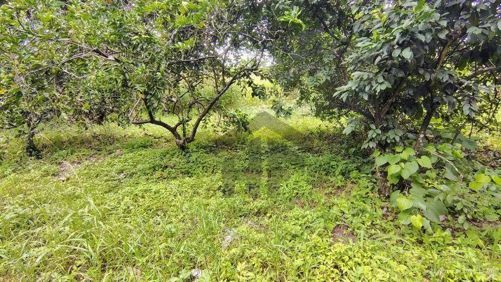 Terreno, 5282 m² - Foto 15