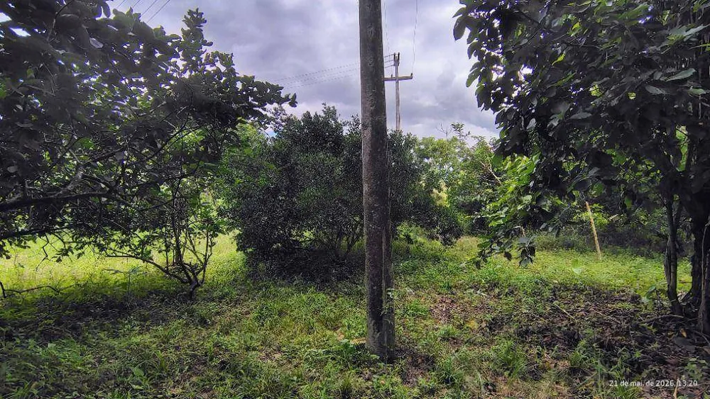 Terreno, 5282 m² - Foto 11
