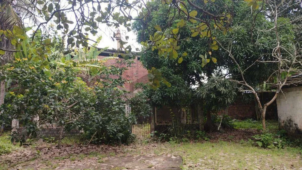 Terreno, 5282 m² - Foto 10