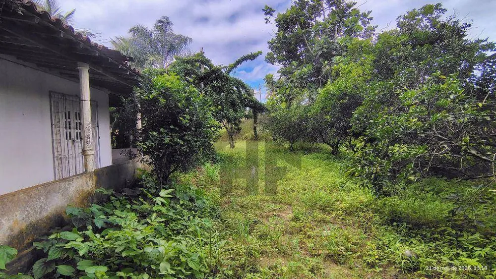 Terreno, 5282 m² - Foto 8
