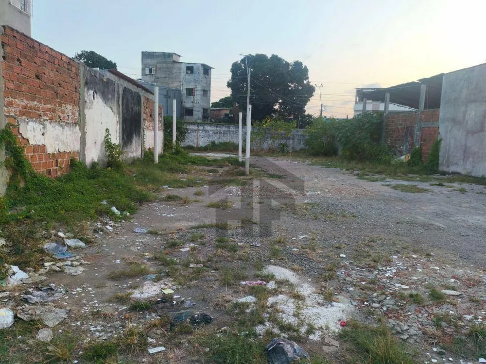 Terreno, 472 m² - Foto 3