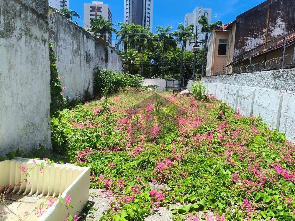 Terreno, 445 m² - Foto 3
