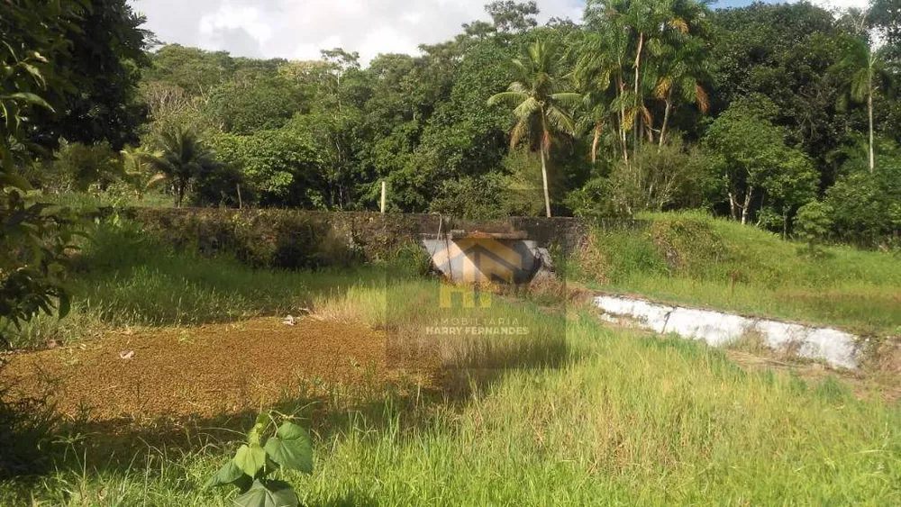 Chácara à venda com 6 quartos, 65000M2 - Foto 2