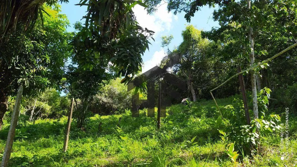 Chácara à venda com 6 quartos, 65000M2 - Foto 8