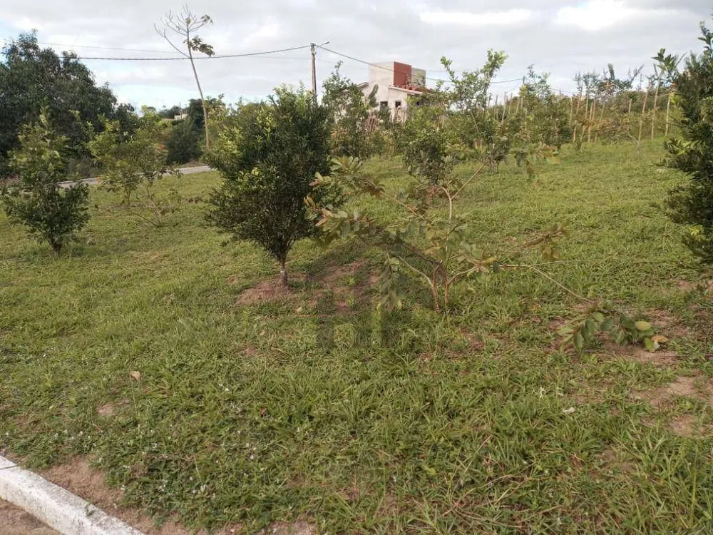 Loteamento e Condomínio, 800 m² - Foto 2