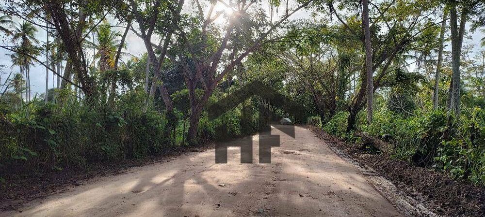 Terreno, 1250 m² - Foto 11