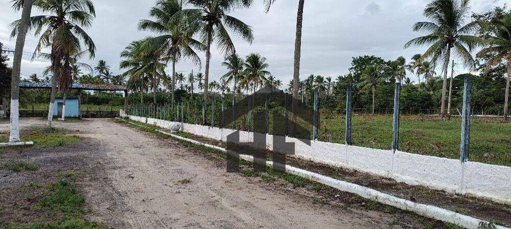 Terreno, 1250 m² - Foto 5