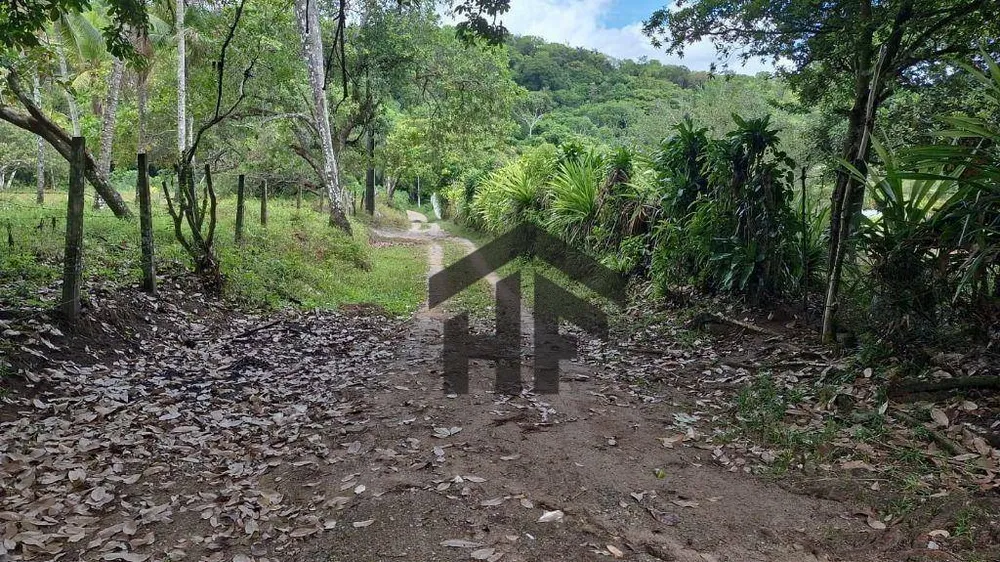 Chácara, 3 quartos, 5000 m² - Foto 10