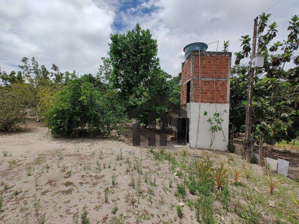 Chácara, 1 quarto, 3800 m² - Foto 6