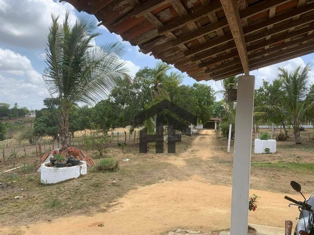 Chácara, 3 quartos, 6 hectares - Foto 13
