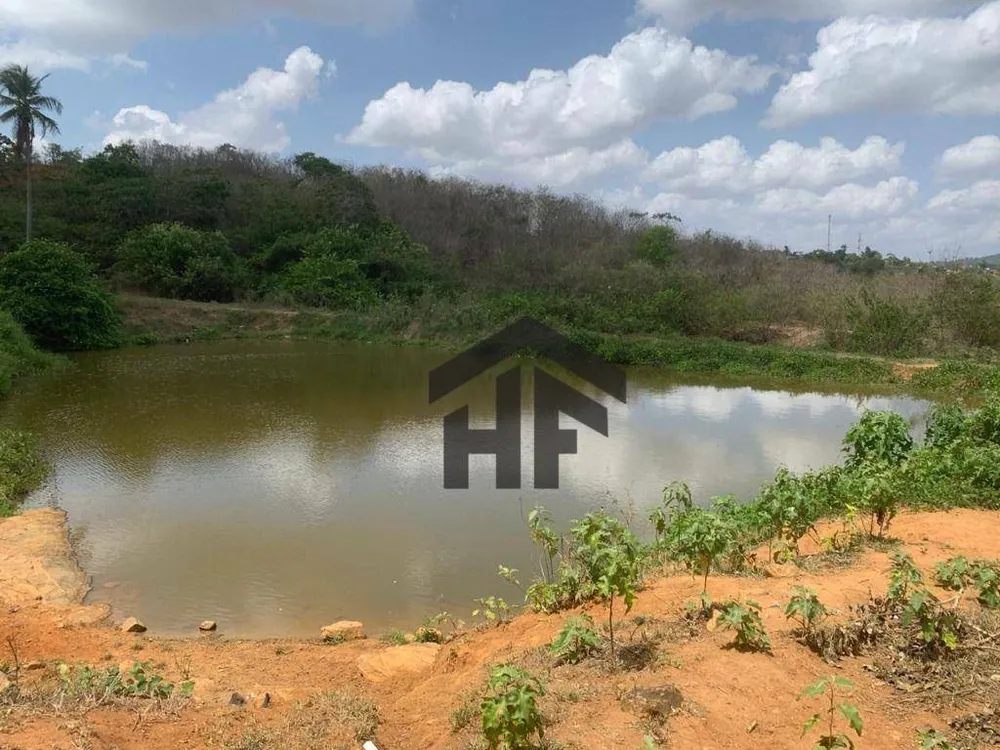 Chácara, 3 quartos, 6 hectares - Foto 14