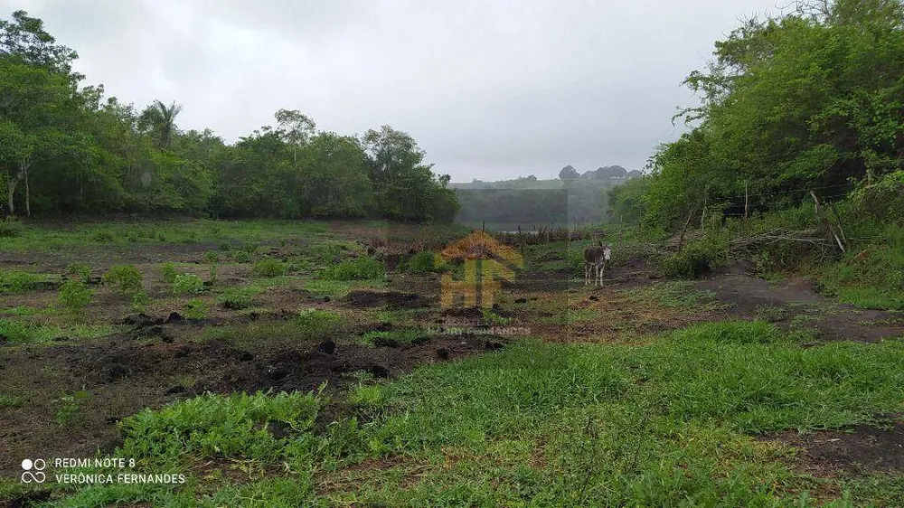 Fazenda, 15 hectares - Foto 13