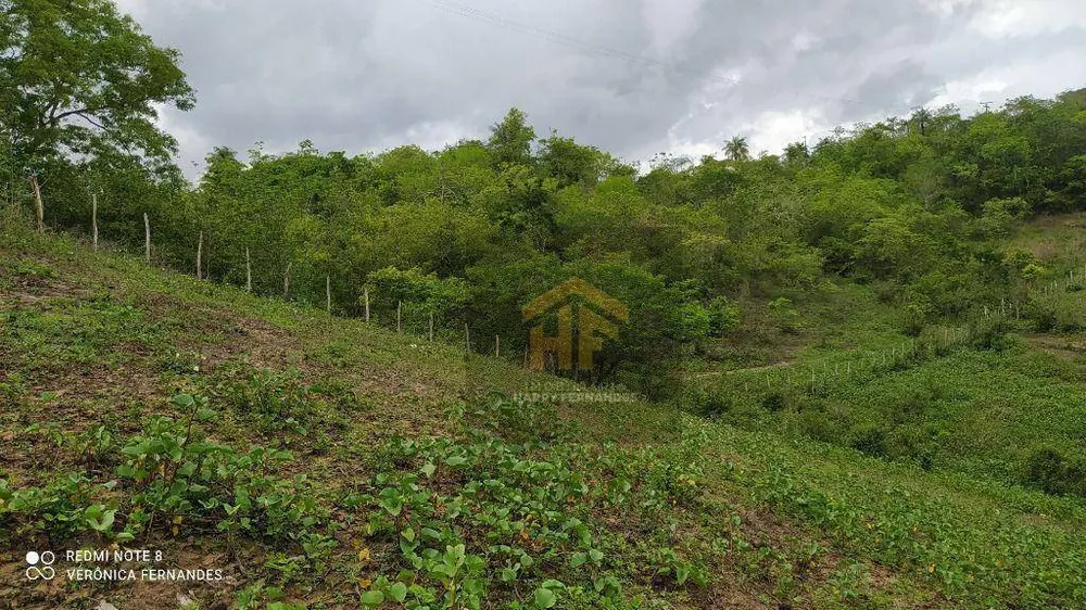 Fazenda, 15 hectares - Foto 6