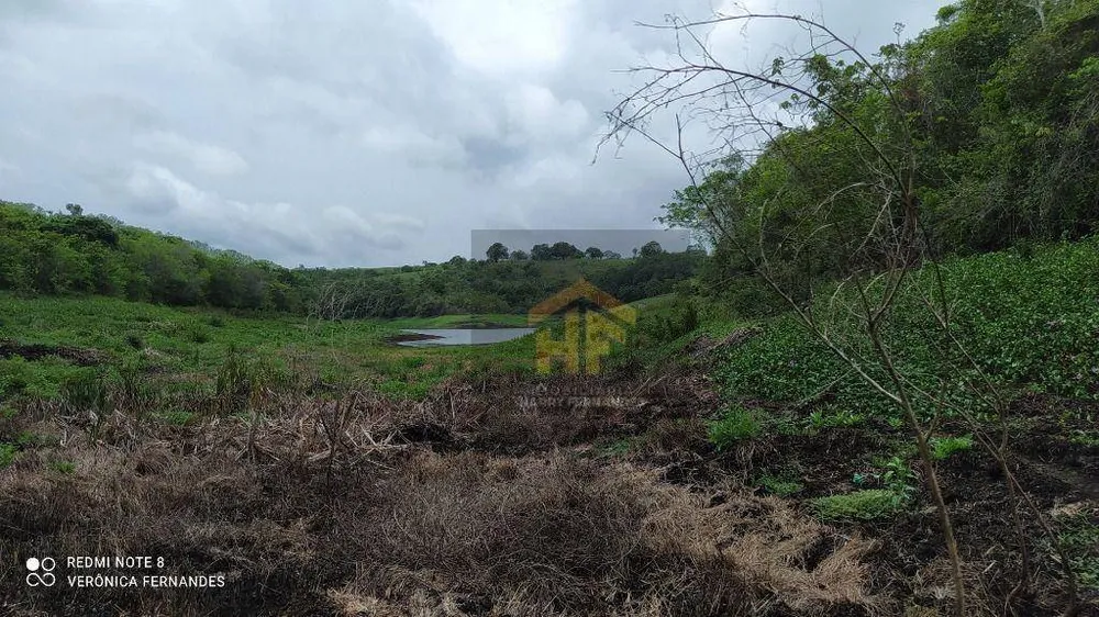Fazenda, 15 hectares - Foto 8