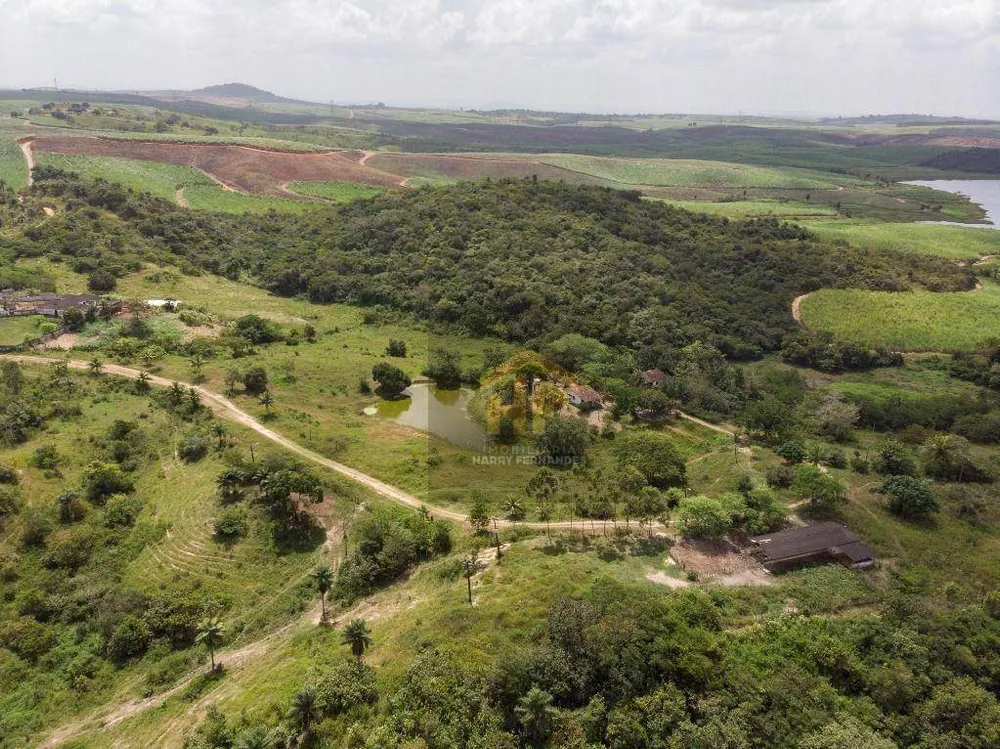 Fazenda, 15 hectares - Foto 16