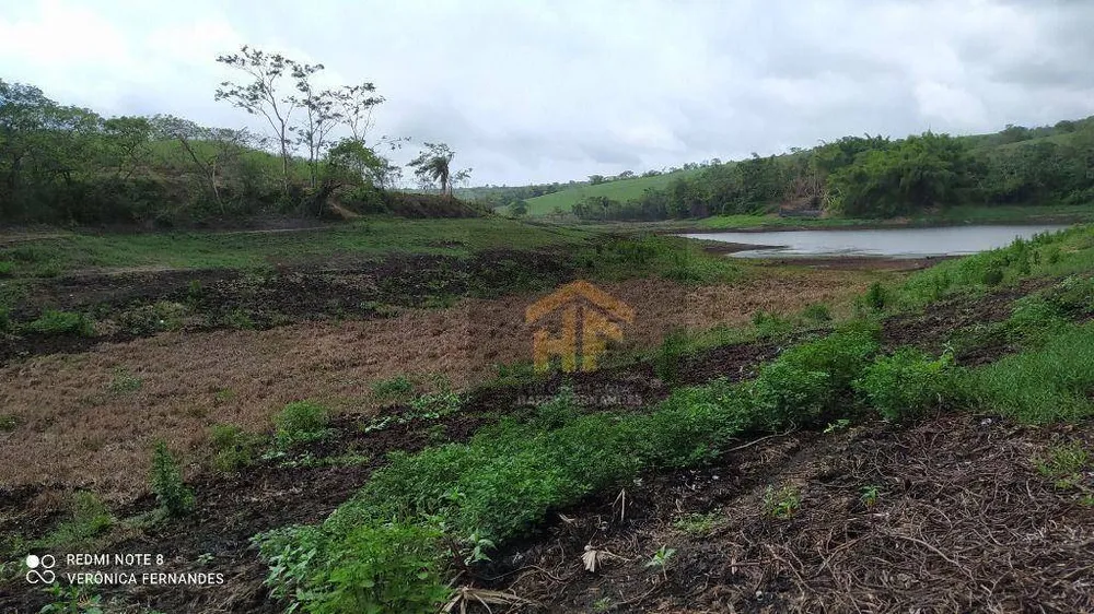 Fazenda, 15 hectares - Foto 12