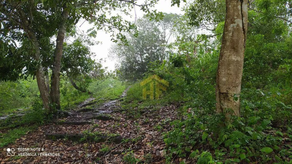 Fazenda, 15 hectares - Foto 14