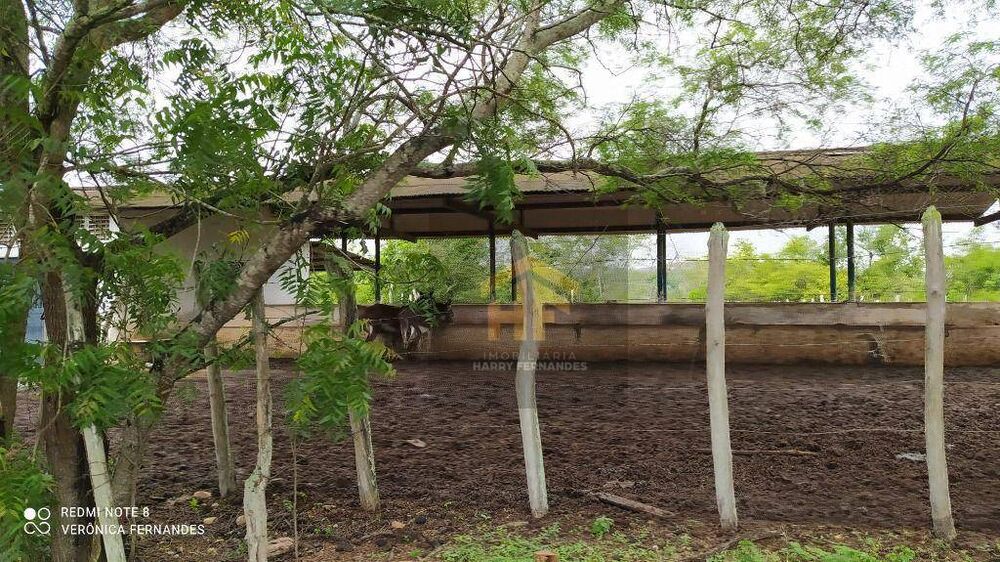 Fazenda-Sítio-Chácara, 16 hectares - Foto 4