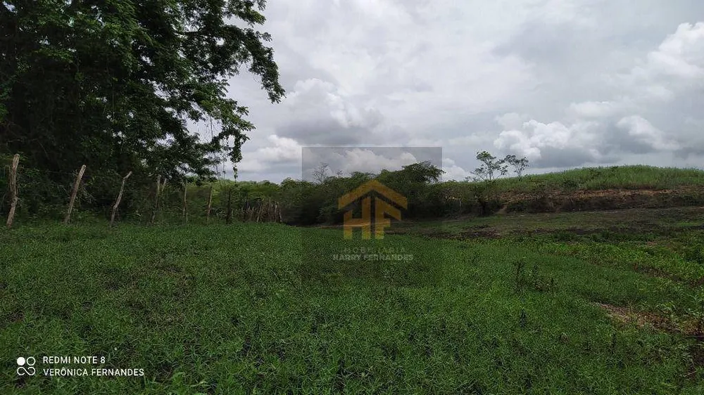 Fazenda, 15 hectares - Foto 11