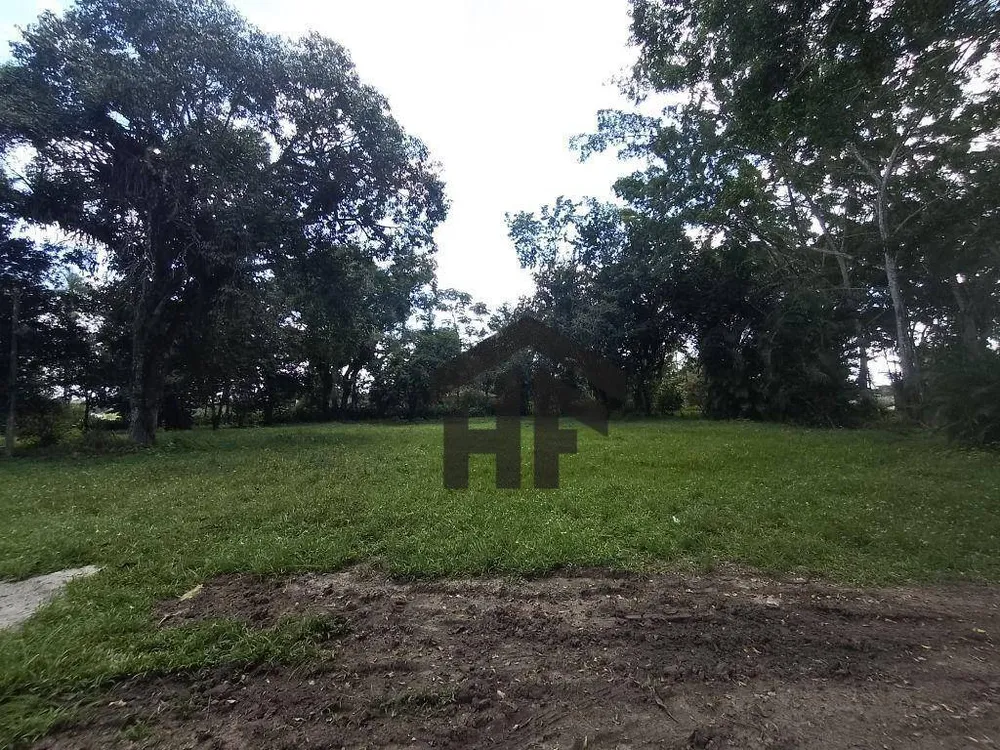 Sítio, 4 quartos, 10 hectares - Foto 15