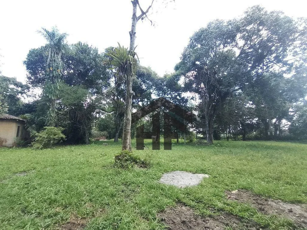 Sítio, 4 quartos, 10 hectares - Foto 16