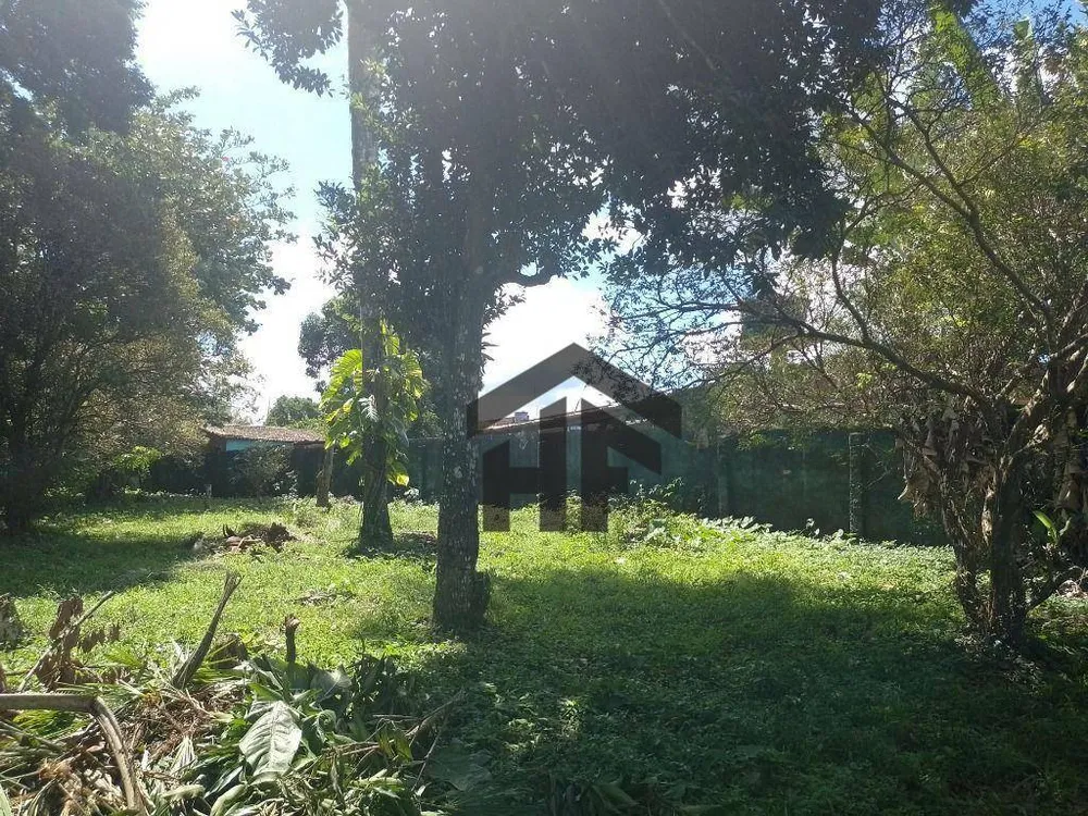Sítio, 4 quartos, 10 hectares - Foto 9