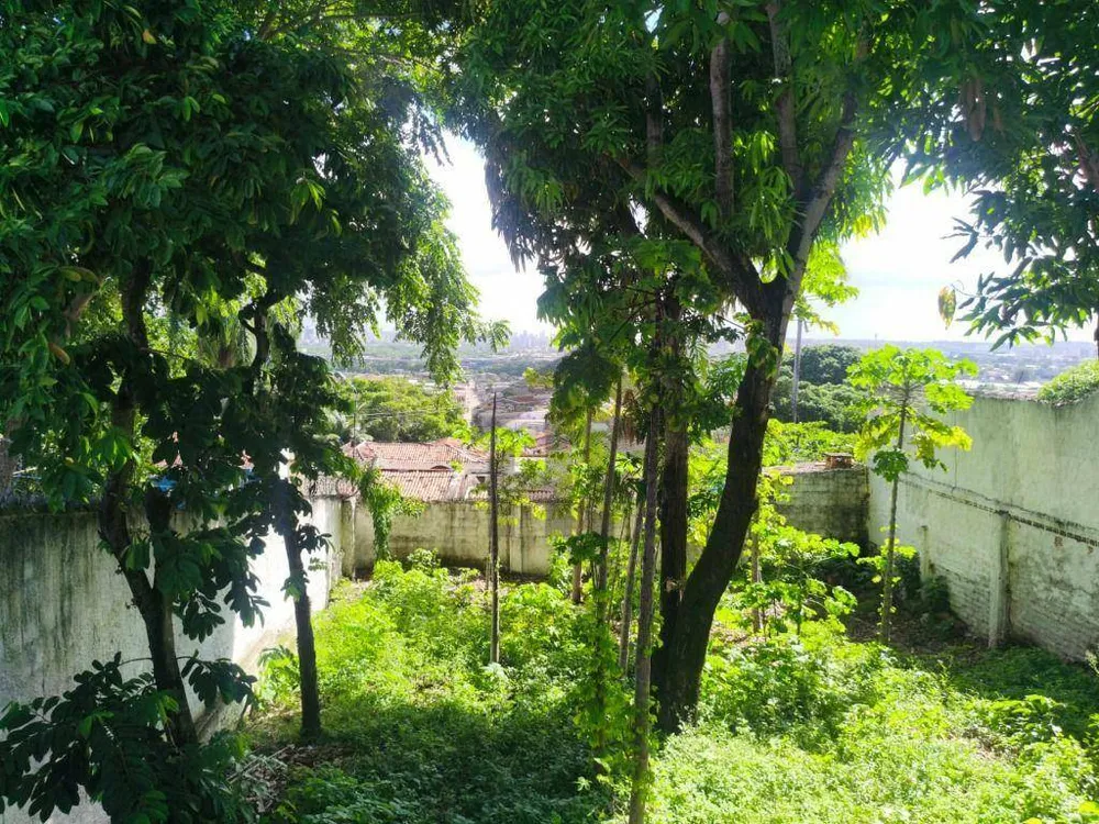 Casa, 3 quartos, 300 m² - Foto 8