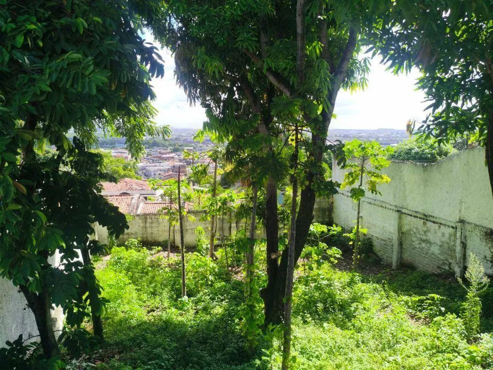 Casa, 3 quartos, 300 m² - Foto 5