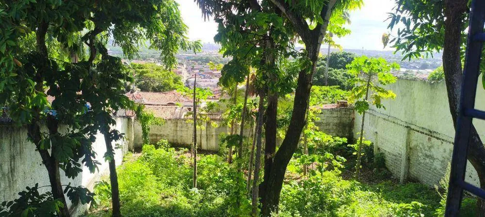 Casa, 3 quartos, 300 m² - Foto 11